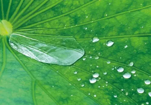 sto　セルフクリーニング機能